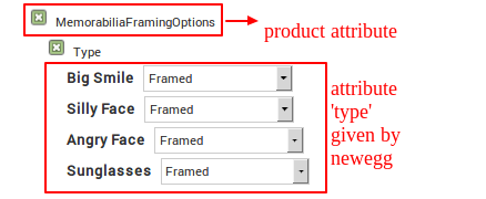 Mechanism of attribute value mapping in NewEgg using Newegg Marketplace Integration