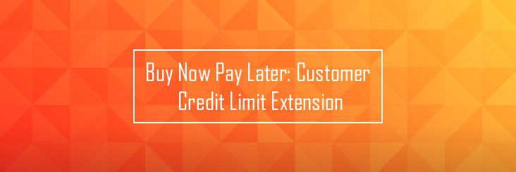 Customer credit limit extension