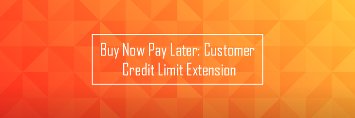 Buy Now Pay Later – Customer Credit Limit Extension