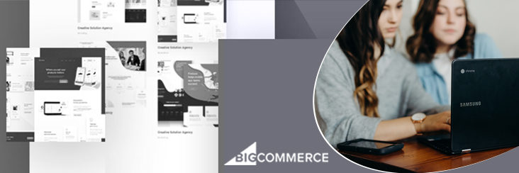 Theme for your BigCommerce store