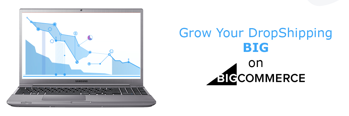 Tips to Grow Your DropShipping Business on BigCommerce