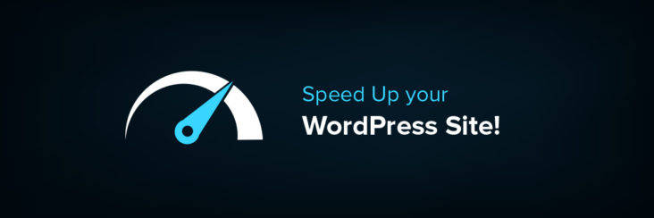optimize wordpress site speed