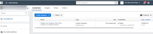 facebook custom audience for better insights