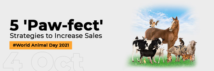 5 pawfect strategies to increase sales banner