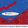 Braintree Payment Method Addon 