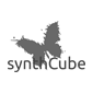 synth-cube